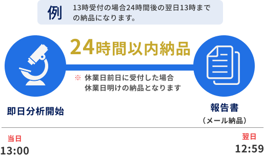 24時間以内納品